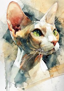 Green Eyed Sphynx Cat