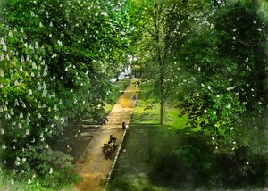 Spring Park Path