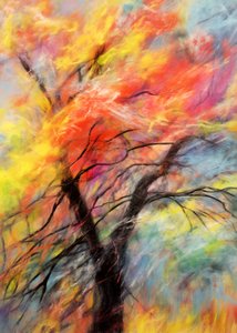 Vibrant Autumn Tree
