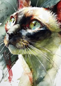 Vibrant Siamese Cat Gaze