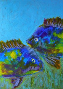 Vibrant Tropical Fish