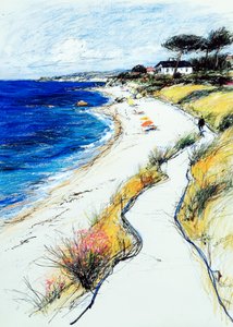 Winding Coastal Path