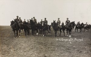 Album Jack Bosio - War Campaign 1917-1920: Military mission in Poland (Warsaw - Posen) March-April 1919, a horse battery in Posen (Poznan)