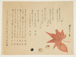 Autumn Leaves and Nuts