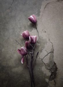 Moody Concrete Blooms by Kahar Lagaa