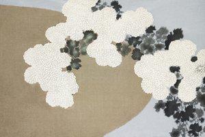 Blossom from Momoyogusa