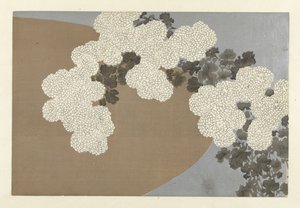 Chrysanthemums