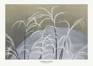 Frost from Momoyogusa