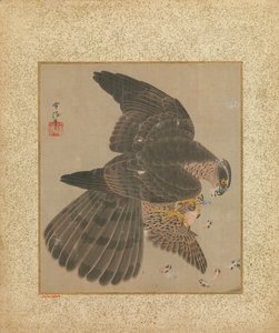 Album of Hawks and Calligraphy, 17th-18th century