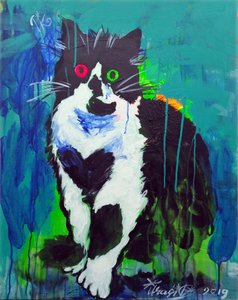 Colorful Abstract Cat
