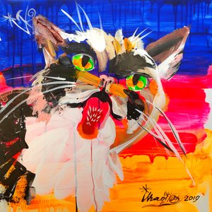 Colorful Abstract Cat