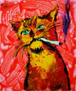 Cool Cat Smoking
