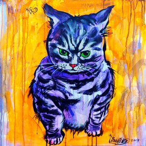 Grumpy Purple Cat