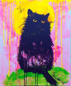 Mystic Black Cat