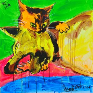 Vibrant Cat Play