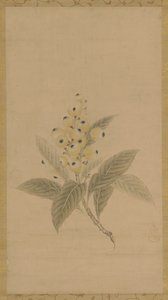 A Branch of Medlars by Kanō Tan’yū