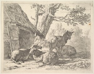 Four Sheep, One Sheep Stands Among Three Others Lying on the Ground Next to a Shed by Karel Du Jardin