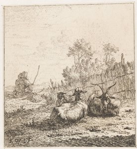 Goat and Two Sheep (Animals) by Karel Du Jardin