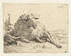 Sheep by a Tree Trunk