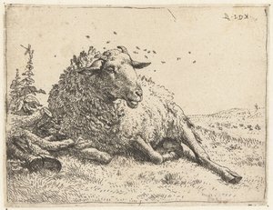Sheep by a tree trunk