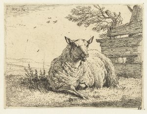 Sheep by a Fence