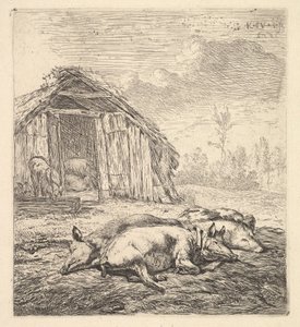 Three Pigs Lying on Their Sides, a Pigsty and Trough Beyond by Karel Du Jardin