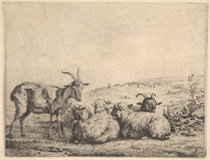 Two Goats and Three Sheep by Karel Du Jardin