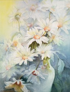 Chrysanthemum, Snowcap by Karen Armitage