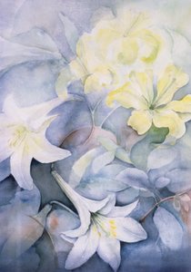 Lilium, Hearts Desire and Imperiale