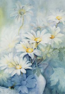 Marguerites, Alexandria