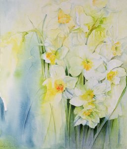 Narcissi and Freesia