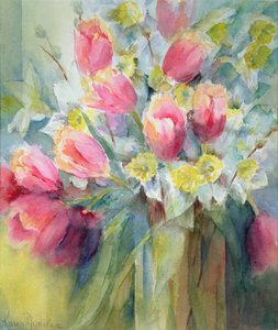 Oxford Elite Narcissus, Ice Follies by Karen Armitage