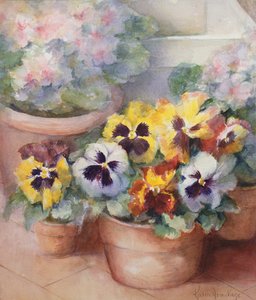 Pansies in a Conservatory