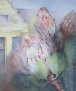 Protea at Stellenbosch by Karen Armitage