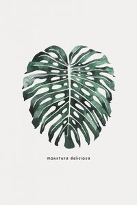 Monstera Leaf Watercolor