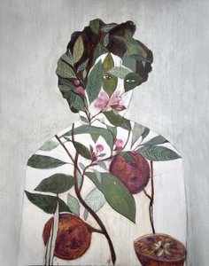 Botanical Figure with Oranges