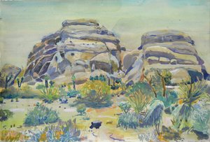 Joshua Tree Landscape