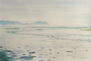 Misty Coastal Landscape