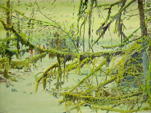 Misty Mossy Woods