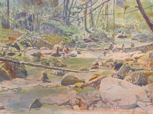 Peaceful Forest Stream