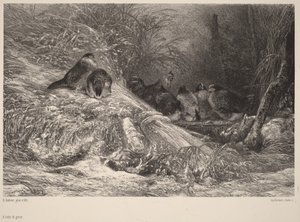 Sheltered from the Frost by Karl Bodmer
