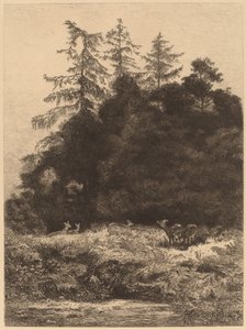 Deer in a Park