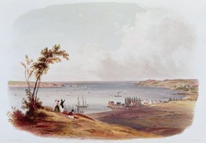 Entry to the Bay of New York, Staten Island, engraved by Salathe by Karl Bodmer