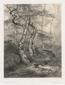 Hare Pursued by a Goshawk by Karl Bodmer