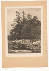 Deer at the Edge of a Forest by Karl Bodmer