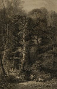 Interior of Forest by Karl Bodmer