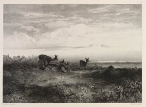 Landscape with Deer by Karl Bodmer