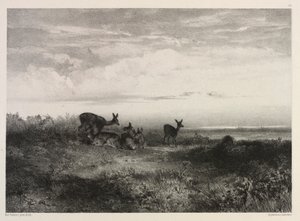 Landscape with Deer by Karl Bodmer