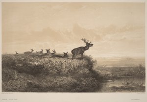 Morning by Karl Bodmer