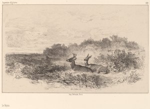 The Rest by Karl Bodmer
